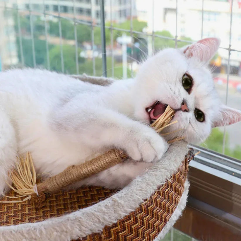 VetriChew - Doğal Çiğneme Çubuğu