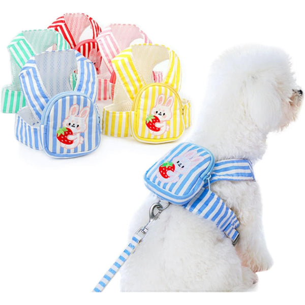 VetriFlex - Göğüs Gezdirme Tasması Seti