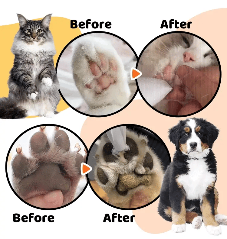 VetriPro Clipper-Kedi/köpekler İçin Profesyonel Tıraş Makinesi
