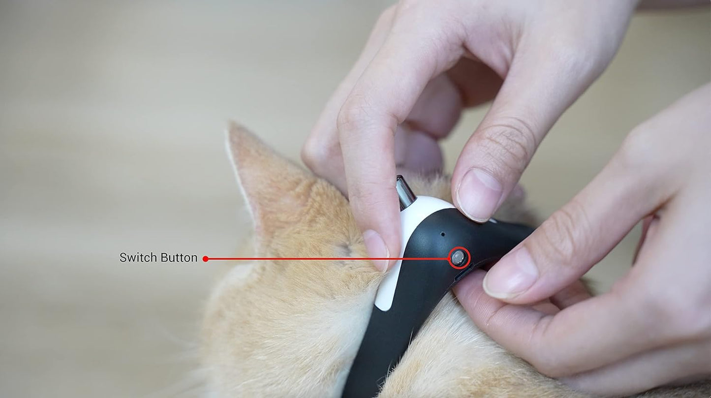 VetriLaser - Etkileşimli Lazer Tasma