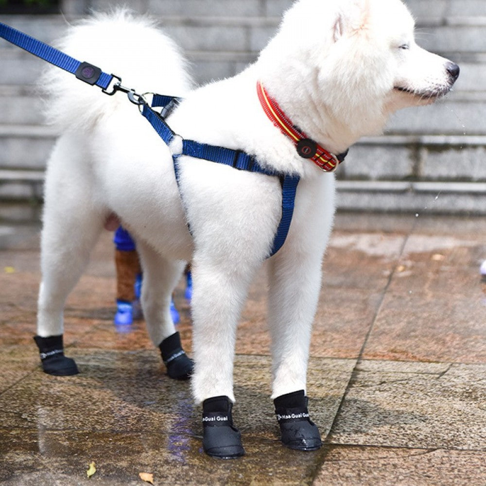 VetriPaw Silikon Kedi Köpek Ayakkabısı