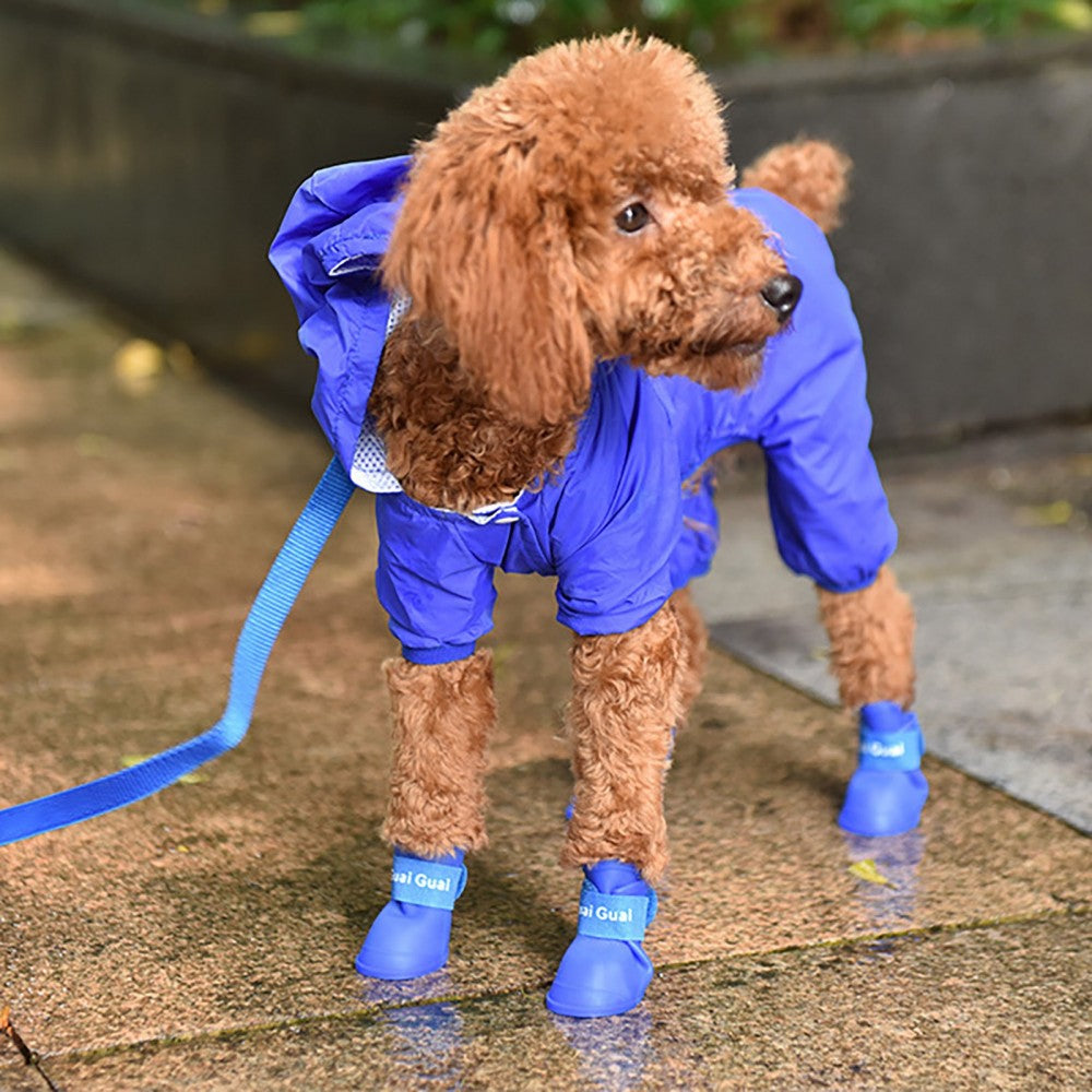 VetriPaw Silikon Kedi Köpek Ayakkabısı