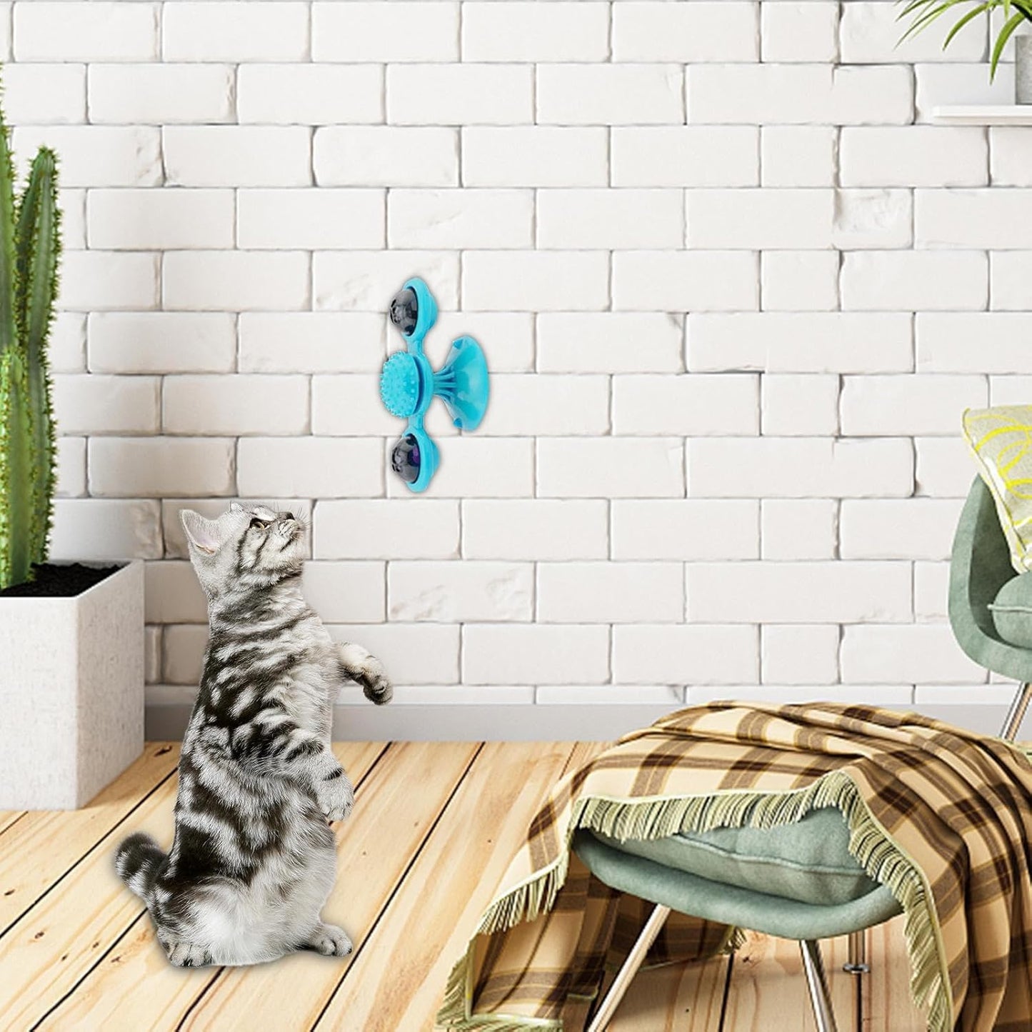 Kediler İçin Dönen Oyuncak – Duvara Yapışan Windmill Kedi Oyuncağı