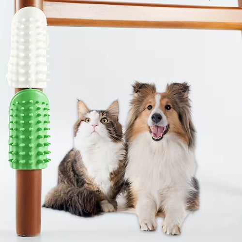 Silikon Kedi Kaşıma Fırçası
