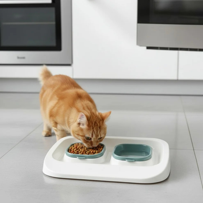 VetriFeeder - Yeşil 2'si 1 Arada Mama Ve Su Kabı