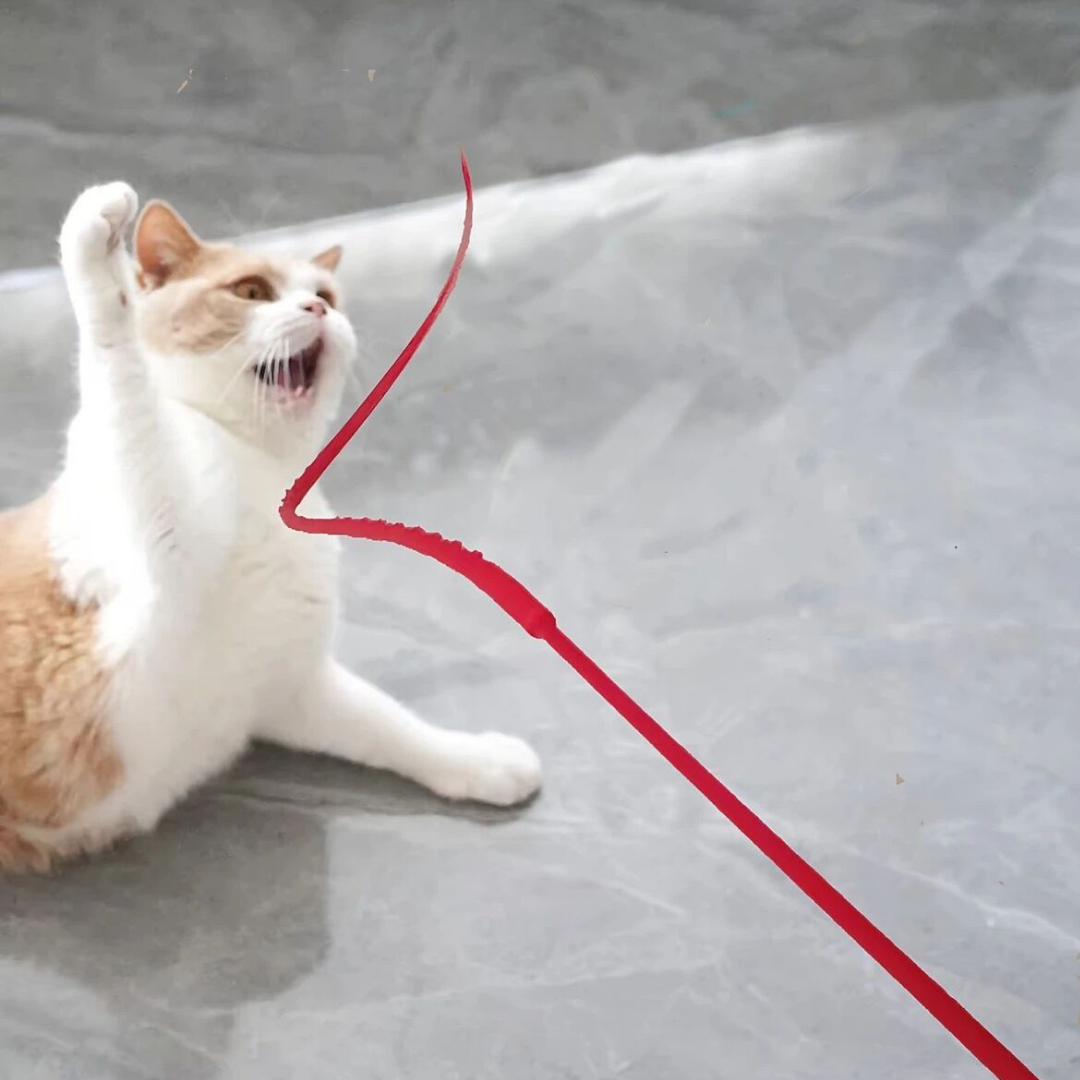 VetriOlta - Delirten Çubuk Pati Çeker Silikon Kedi Oltası