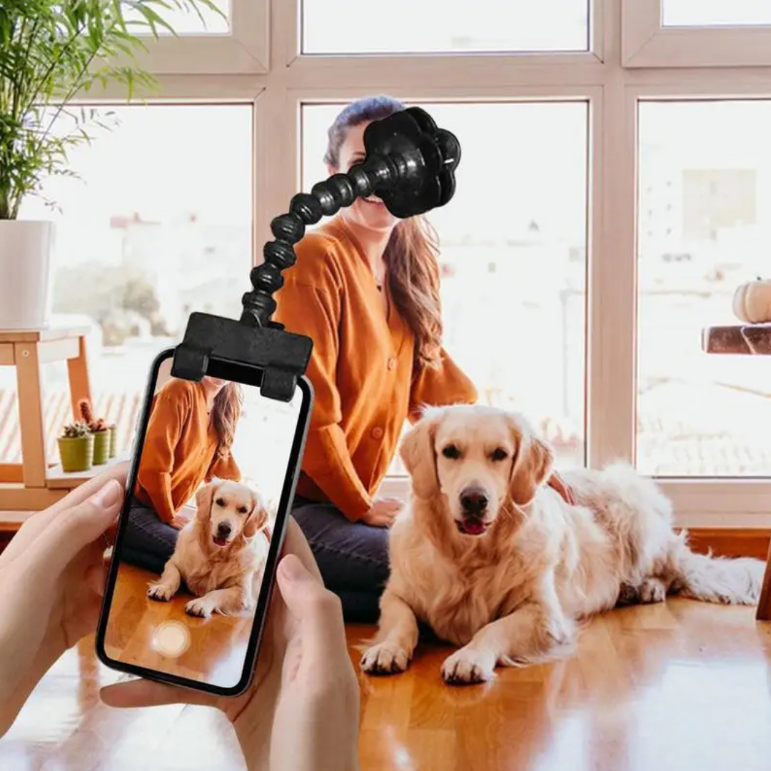VetriSelfie Ödül Mama Tutacağı Kedi-Köpekler İçin Selfie Çubuğu