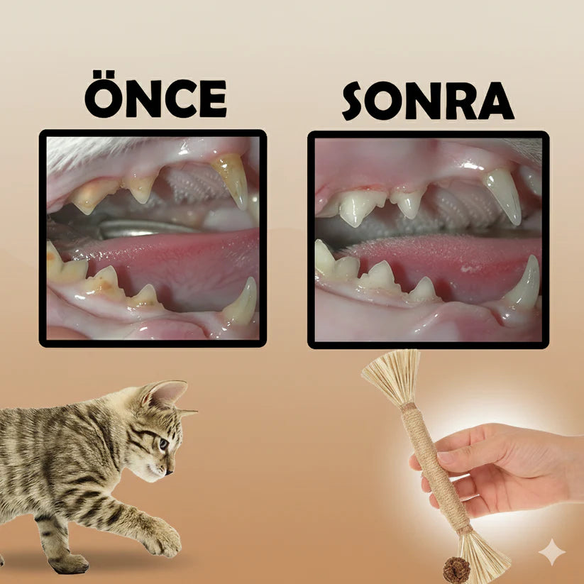 VetriChew - Doğal Çiğneme Çubuğu