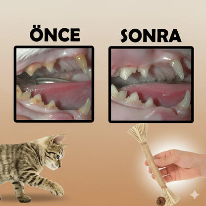 VetriChew - Doğal Çiğneme Çubuğu