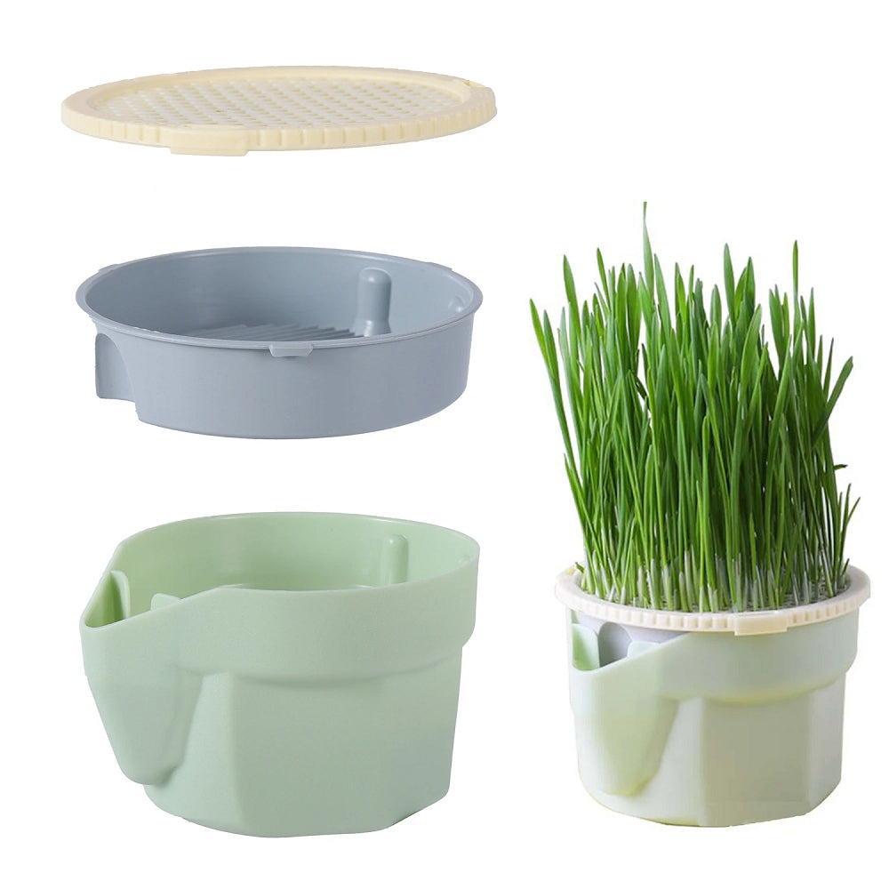 Kedi Çimi Topraksız Suda Yetiştirme Kiti + Tohum Hediyeli-VetriGrow