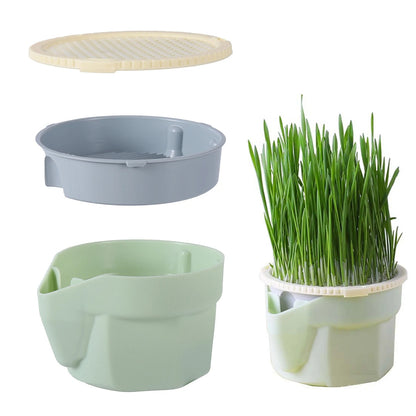 Kedi Çimi Topraksız Suda Yetiştirme Kiti + Tohum Hediyeli-VetriGrow