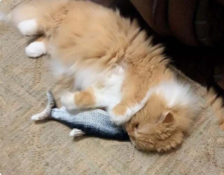 VetriFish - Kedi Oyuncağı Peluş Balık