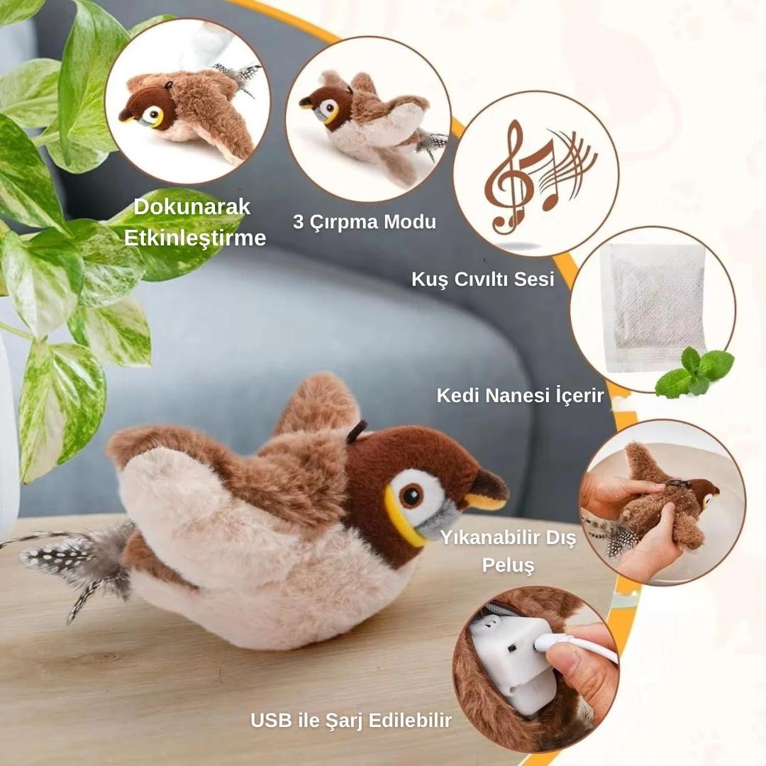 VetriChirp Çırpınan Kuş Kedi Eğlence Oyuncağı