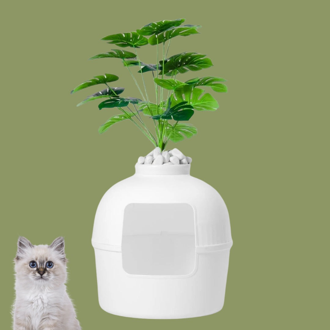 VetriHome Dekoratif Saksılı Kedi Tuvaleti & Kedi Evi