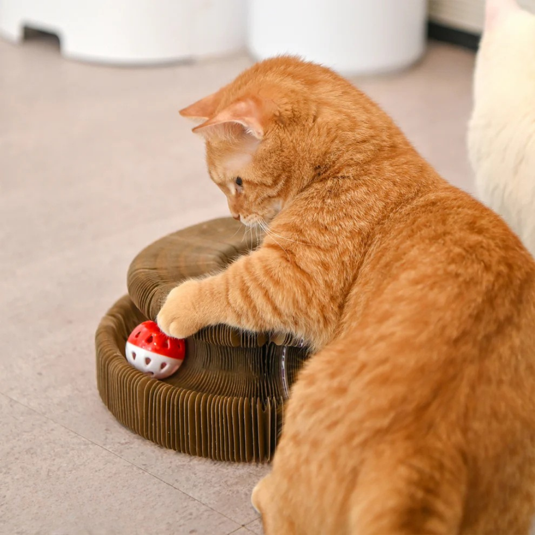 Akıllı Tırmalama ve Oyun Yatağı