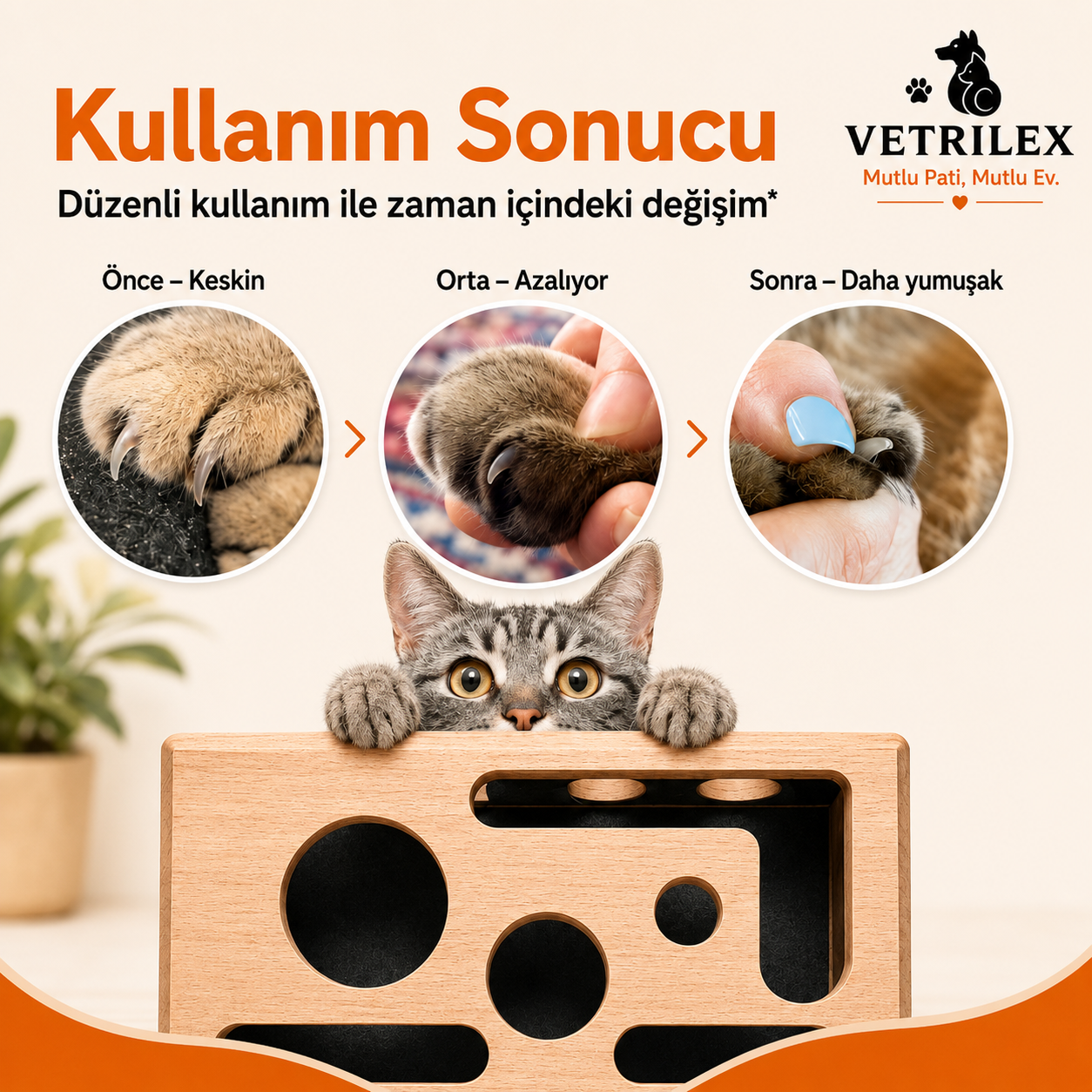 Vetrilex PatiBox – Tırnak Törpüleyen Akıllı Oyun Kutusu