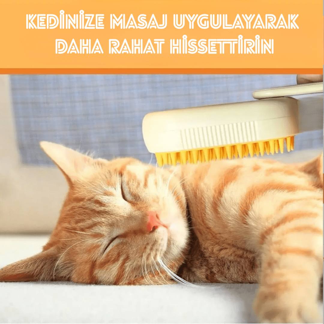 VetriBrush™️ Buharlı Kedi Fırçası - Vetrilex