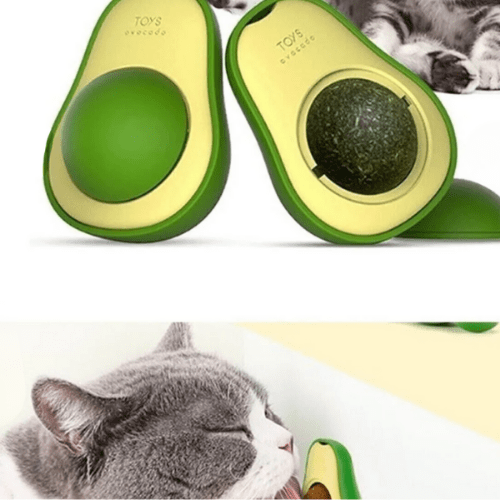 Vetrikado™️ Catnip Kedi Çimi Topu Oyuncağı - Vetrilex