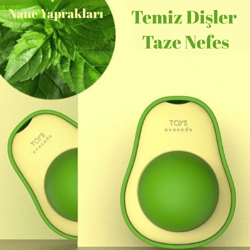 Vetrikado™️ Catnip Kedi Çimi Topu Oyuncağı - Vetrilex