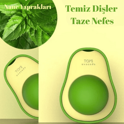 Vetrikado™️ Catnip Kedi Çimi Topu Oyuncağı - Vetrilex